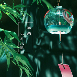 搭建安全小虾导航
